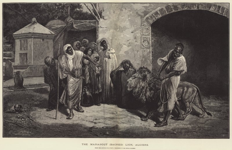 El Marabout León Sagrado, Argel de Eugene Pavy