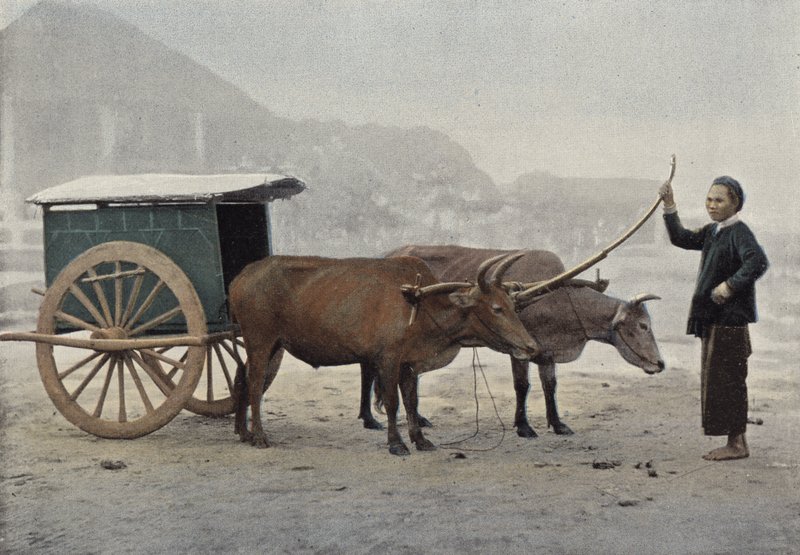 Carro annamita de European Photographer