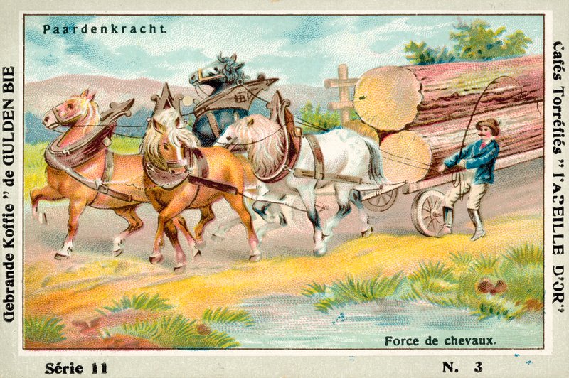 Caballos de fuerza de European School