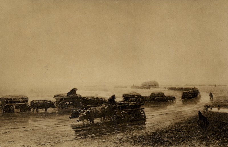 Camino de carros de bueyes en Mariupol, 1875 de European School