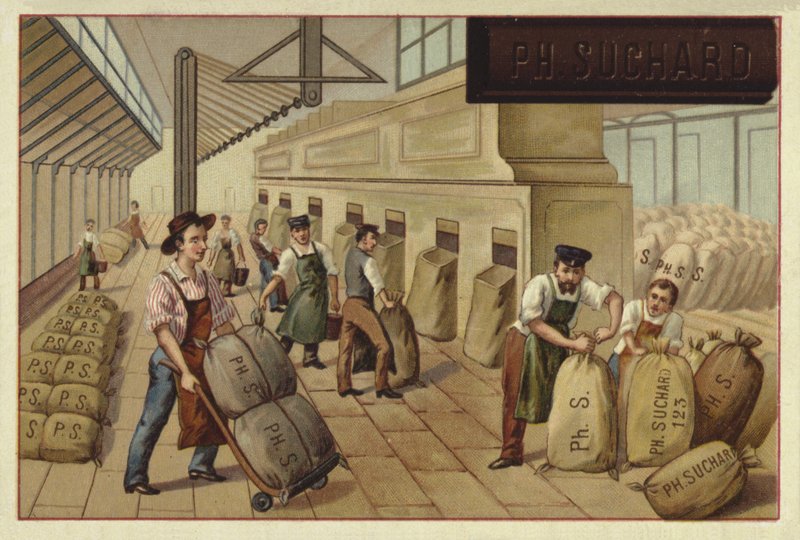 Empaque de sacos de cacao en una fábrica de European School