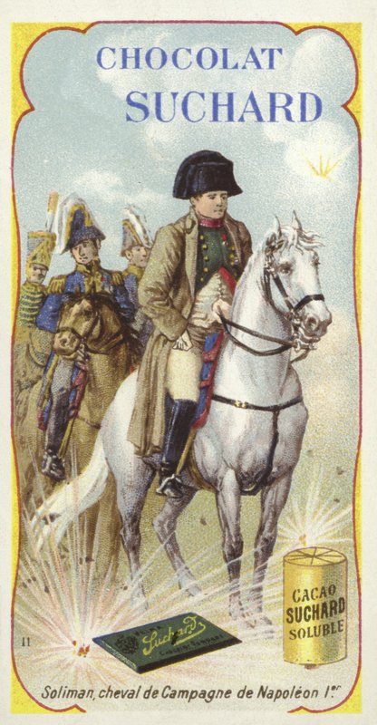 Solimán, caballo de guerra de Napoleón de European School