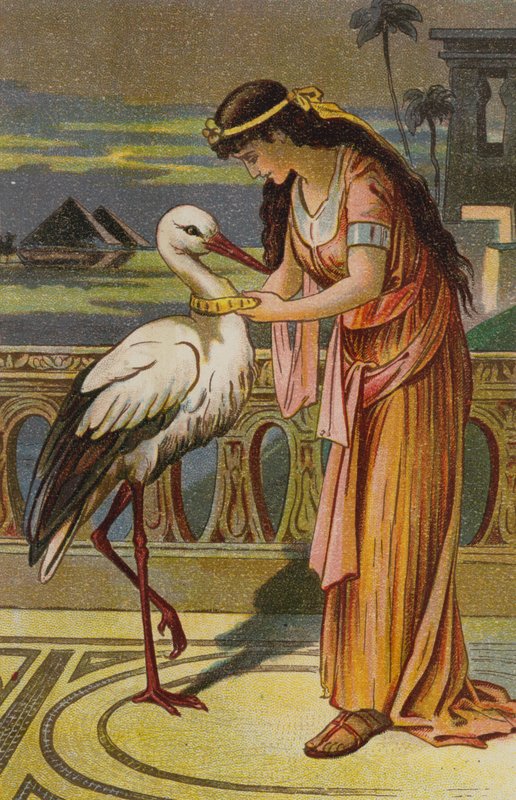 La hija del rey del pantano de European School
