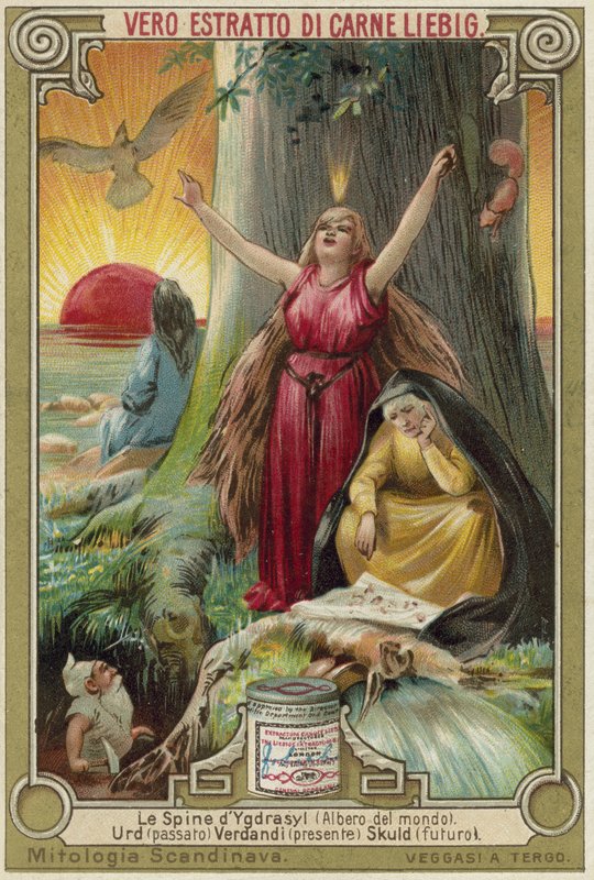 El árbol Yggdrasil de European School