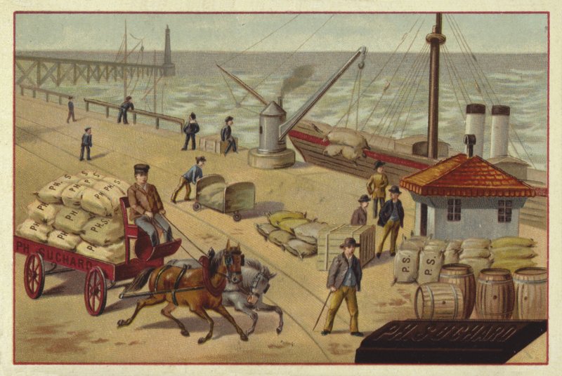 Transporte de cacao de European School