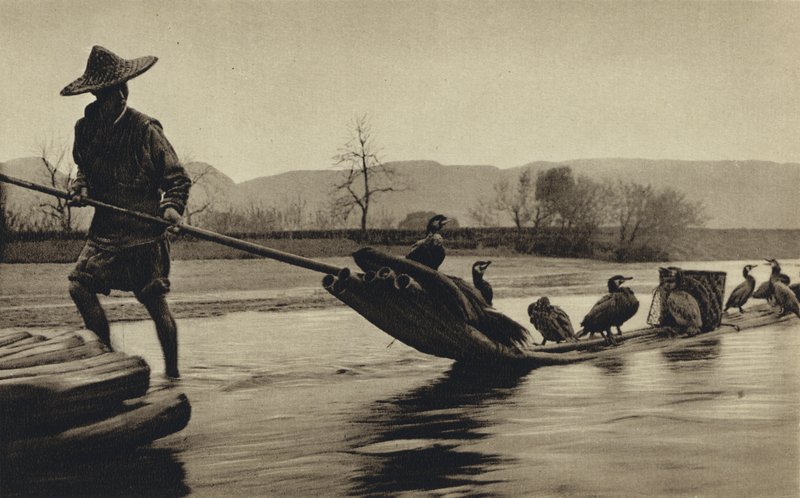 China, pesca con cormoranes de European Photographer