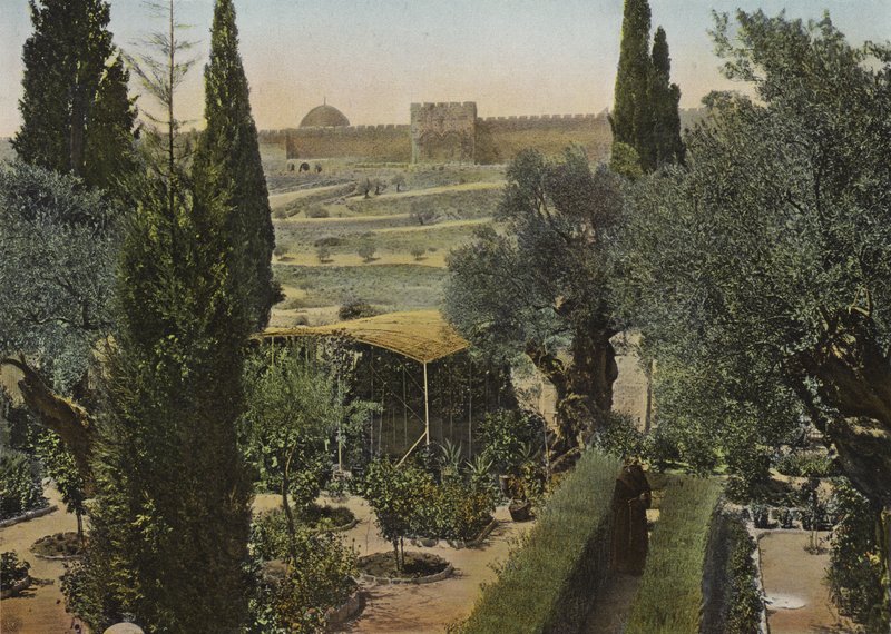 Jardín de Getsemaní de European Photographer