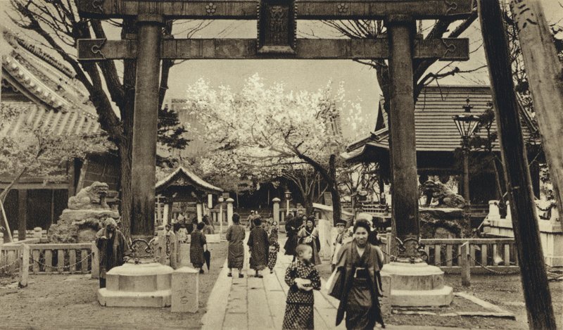 Japón, Calle en Tokio, época de floración de cerezos de European Photographer