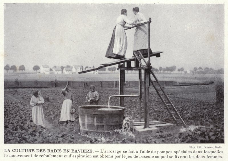 El Cultivo de Rábanos en Baviera de European Photographer