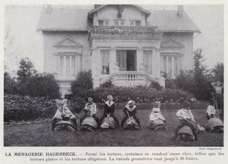 La Menagerie Hagenbeck de European Photographer