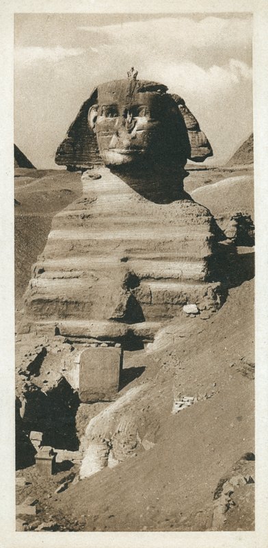 La Gran Esfinge en la meseta de Giza, Egipto de European Photographer