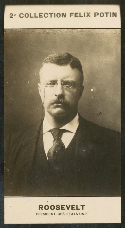 Theodore Roosevelt, Presidente de los Estados Unidos de European Photographer