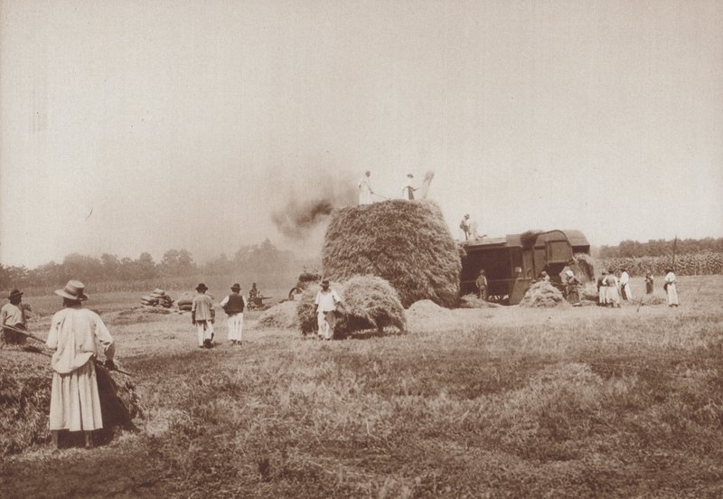 Trilla de trigo en Alfold, las llanuras de Hungría (foto en blanco y negro) de European Photographer