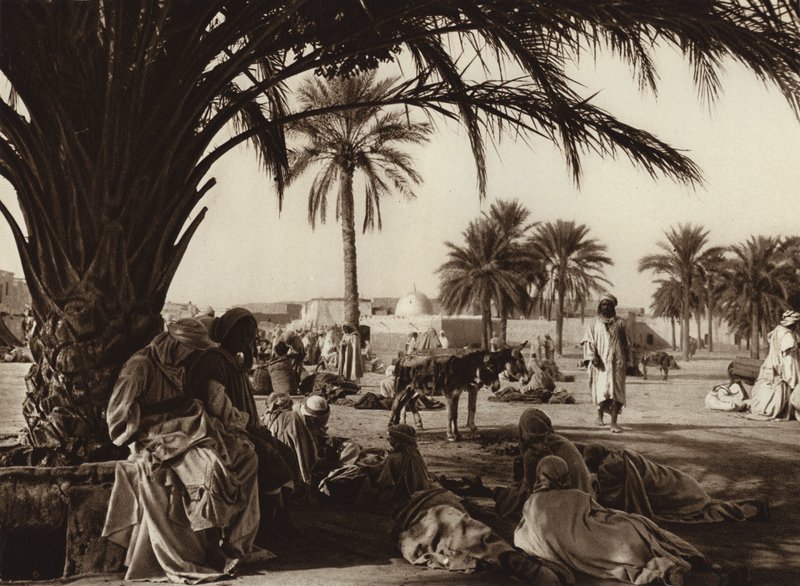 Oasis de Touggourt (foto b/n) de European Photographer