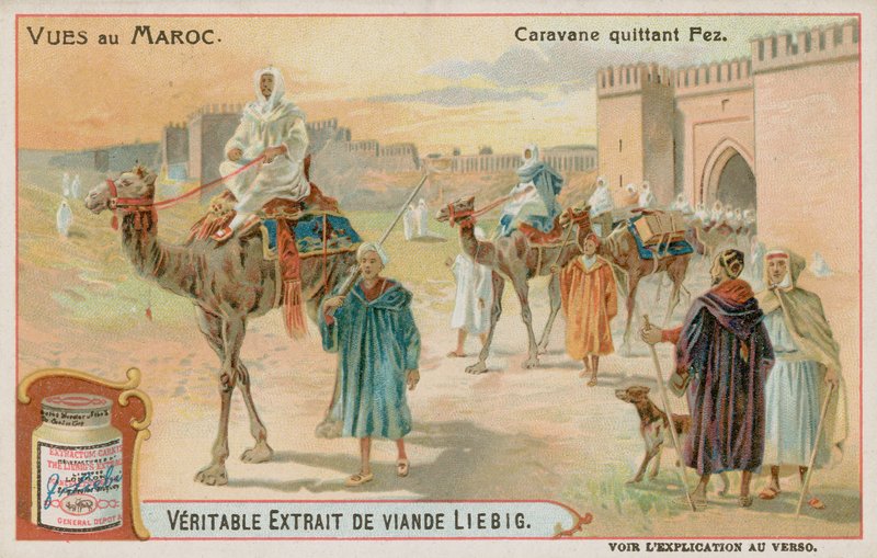 Una caravana saliendo de Fez de European School