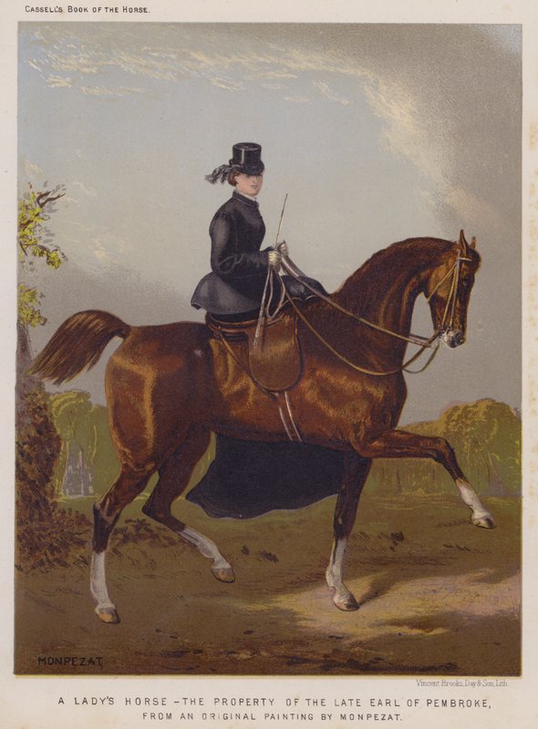 El Caballo de una Dama, Propiedad del difunto Conde de Pembroke de European School