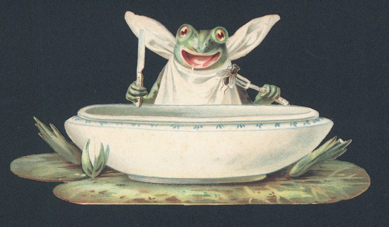 Una rana comiendo una mosca (litografía en color) de European School
