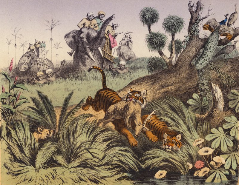 Una cacería en la selva india (litografía en color) de European School