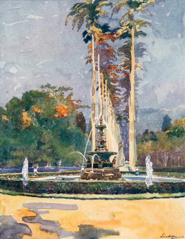 Una parte de la Avenida de las Palmeras Reales, Jardín Botánico (litografía en color) de European School