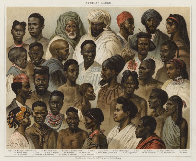 Razas Africanas de European School