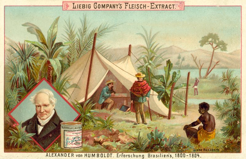 Expedición de Alexander von Humboldt a Sudamérica, 1800-1804 de European School