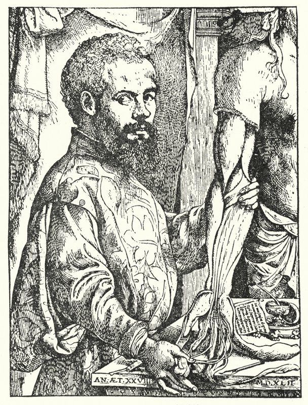 Andreas Vesalius (grabado) de European School