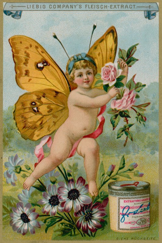 Querubín mariposa con margaritas de European School