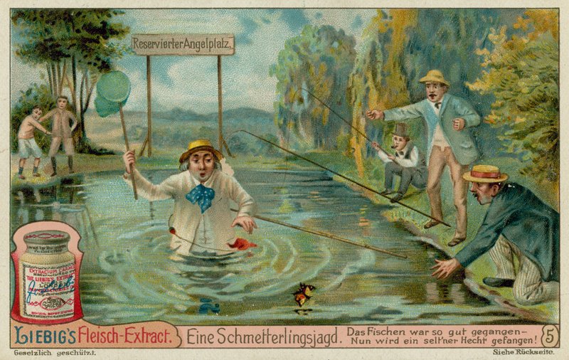 Caza de mariposas y pescadores de European School