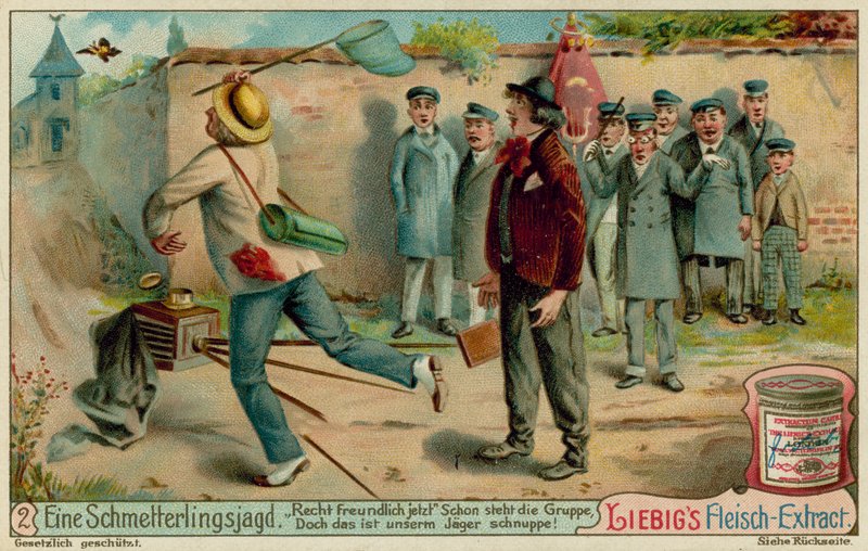 Caza de mariposas y fotografía de European School