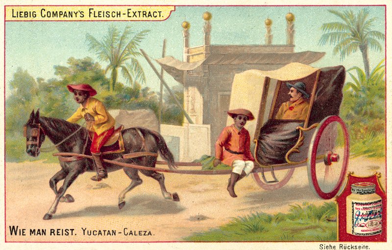 Caleza en Yucatán de European School
