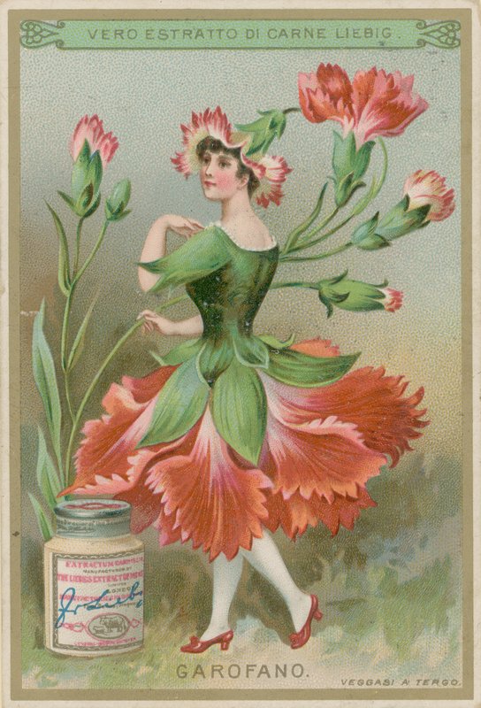 Niña flor de clavel de European School