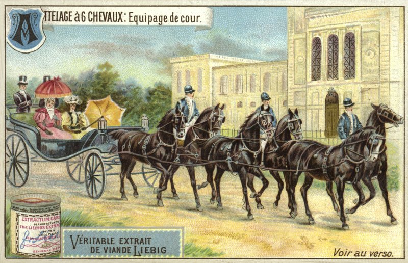 Carruaje tirado por seis caballos de European School