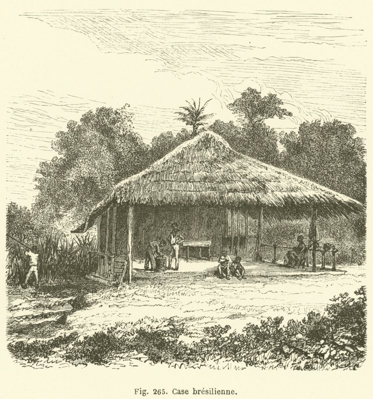Casa brasileña (grabado) de European School