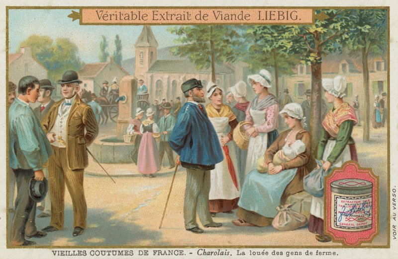 Charolais de European School