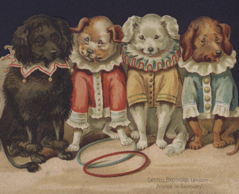 Perros cómicos de European School