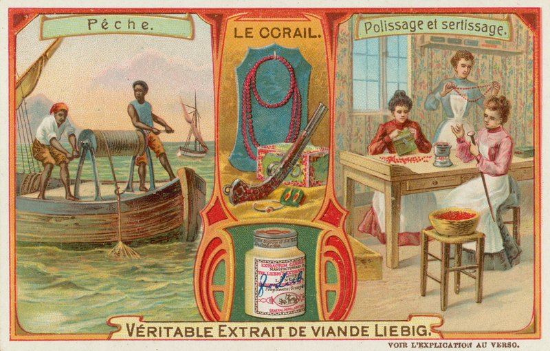 Coral de European School