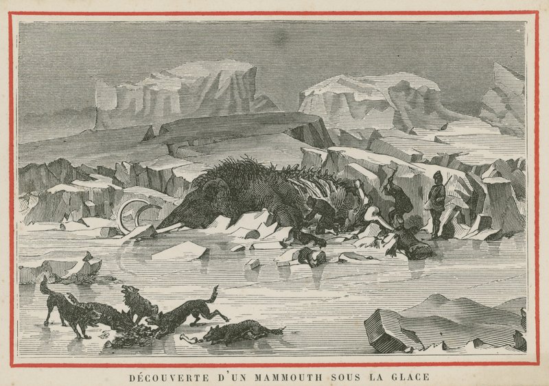 Descubrimiento de un mamut lanudo bajo el hielo de European School