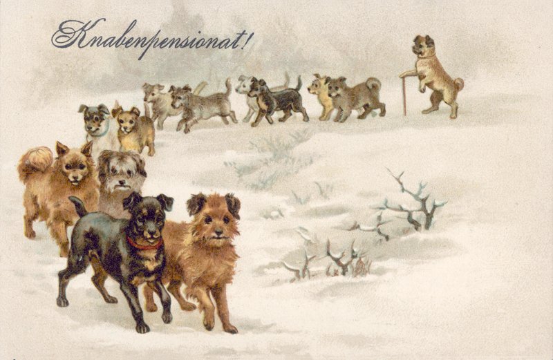 Postal de perro (litografía en color) de European School