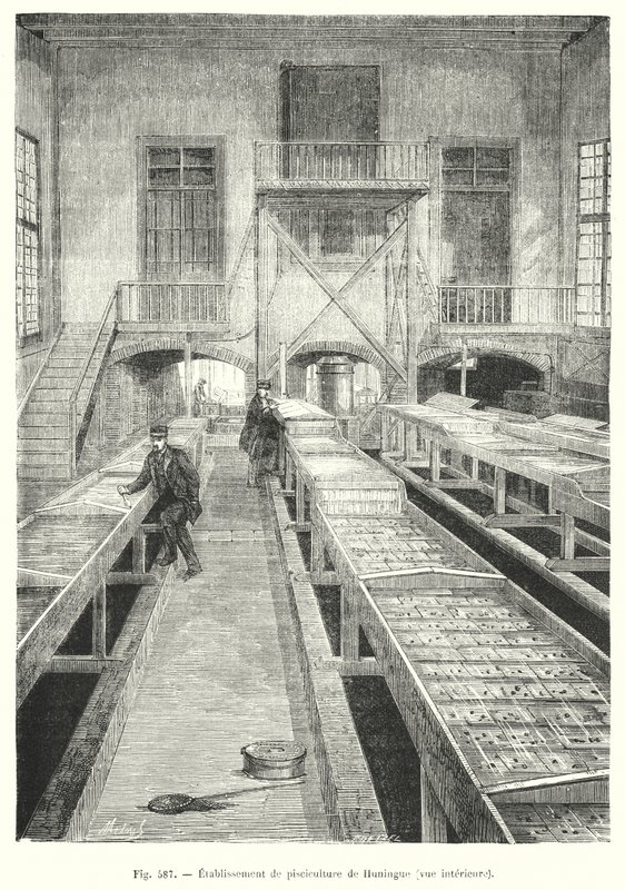 Establecimiento de piscicultura de Huningue, vista interior de European School