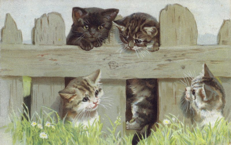 Cuatro gatitos junto a una valla (cromolito) de European School