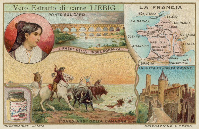 Francia de European School