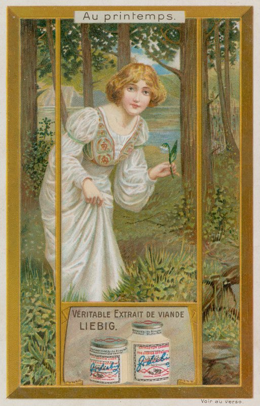 Niña con campanillas de invierno de European School