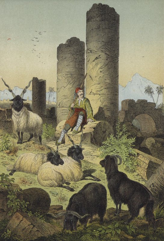 Pastor griego con ovejas valacas y cabras sirias (litografía en color) de European School