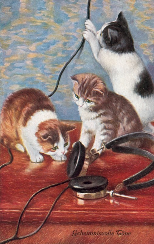 Postal humorística de gatos (litografía en color) de European School