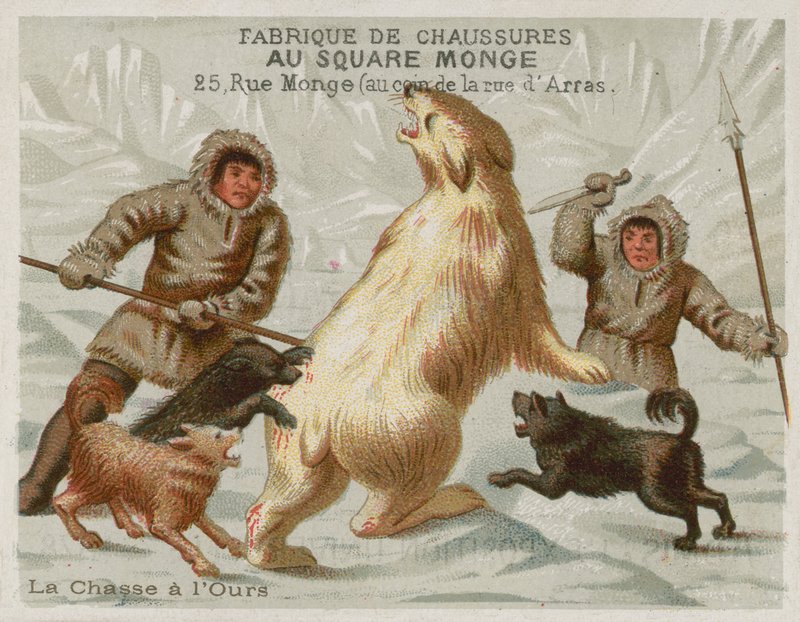 Caza de osos polares con perros de European School