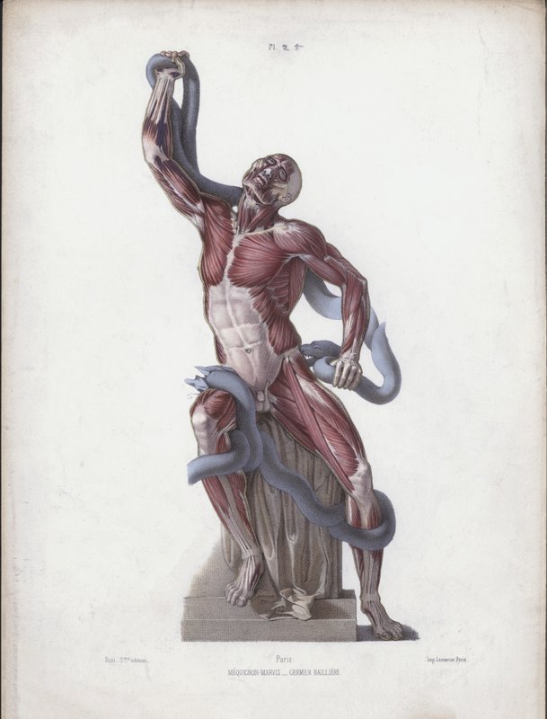 Ilustración de Laocoonte de European School