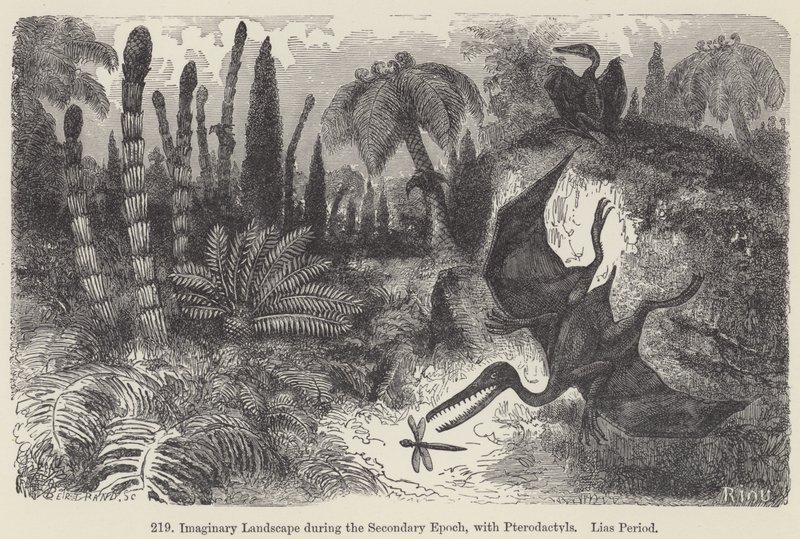 Paisaje imaginario durante la Época Secundaria, con Pterodáctilos, Período Lias de European School