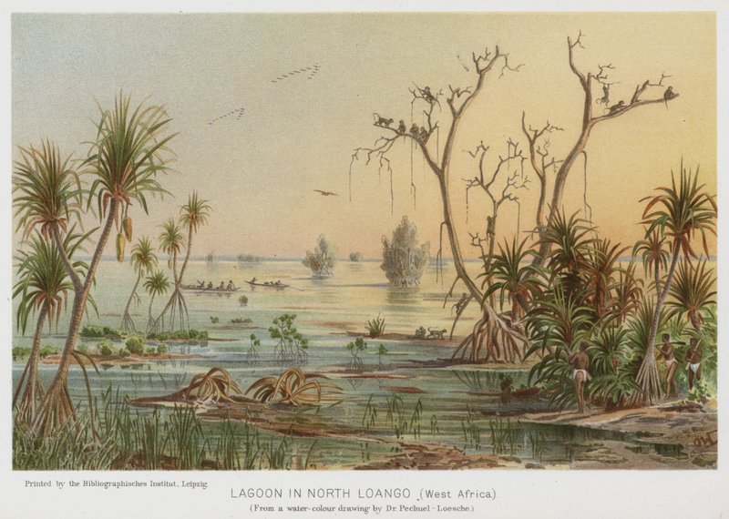 Laguna en Loango Norte, África Occidental (chromolitho) de European School