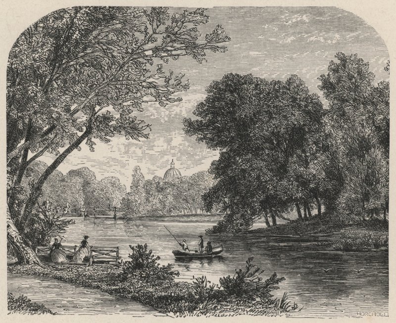 El Bosque en La Haya de European School