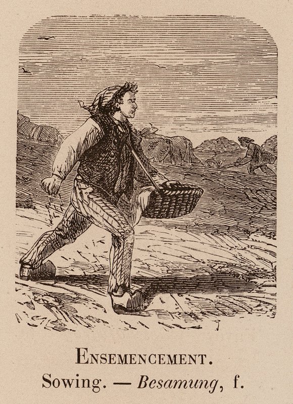 Vocabulario Ilustrativo: Siembra; Siembra; Besamung (grabado) de European School